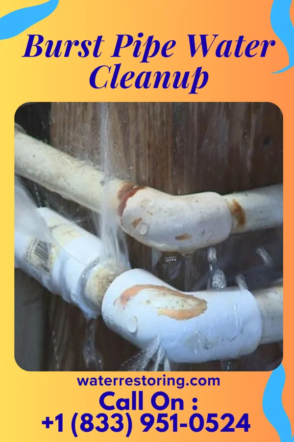 Burst Pipe Water Cleanup in Chicago Heights, IL