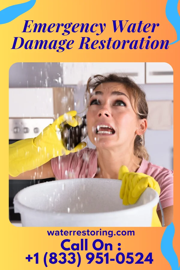 Emergency Water Damage Restoration in Chicago Heights, IL