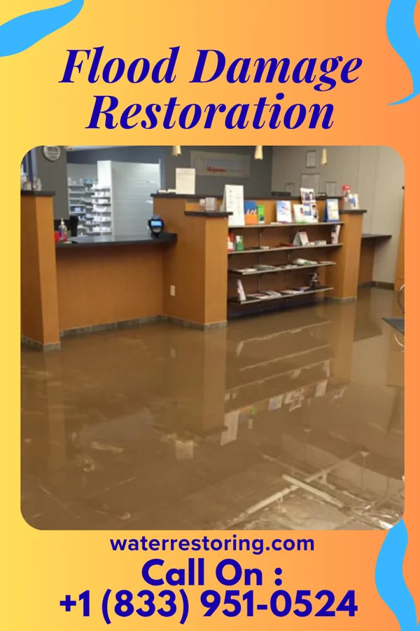 Flood Damage Restoration in Chicago Heights, IL