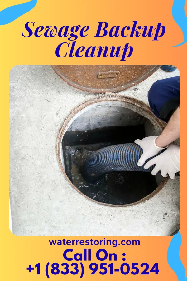 Sewage Backup Cleanup in Chicago Heights, IL