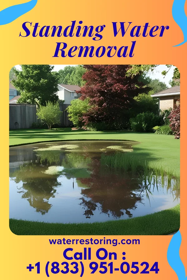Standing Water Removal in Chicago Heights, IL